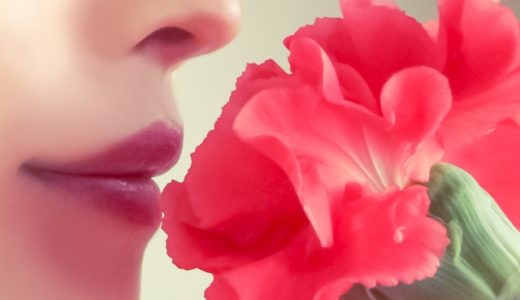 鼻毛処理の 範囲や長さはどこまでがいいの？おすすめの鼻毛ケアの方法を調査！