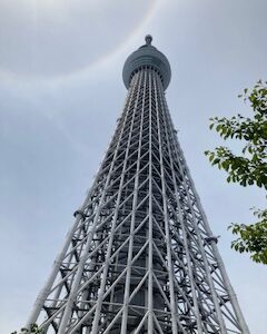 東京スカイツリーとすみだ水族館をセット券で効率よく楽しむ方法！