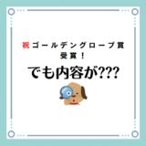 祝ゴールデングローブ賞受賞。でも映画の内容が難解